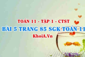 Bài 5 trang 85 SGK Toán 11 Tập 1 Chân trời sáng tạo